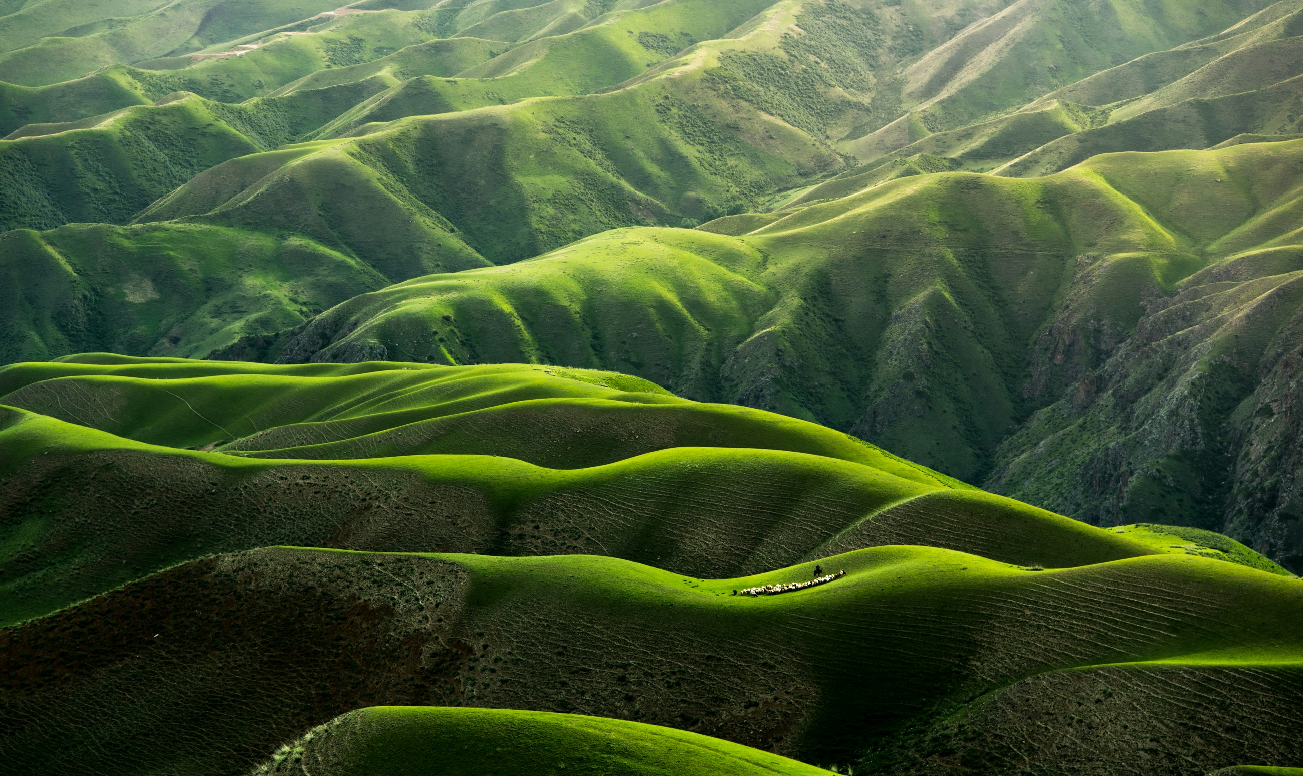 bird's eye view photograph of green mountains